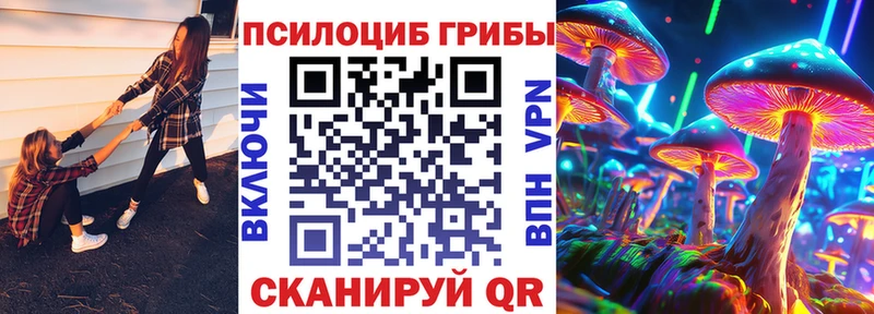 Галлюциногенные грибы Magic Shrooms  Купить  Котлас 